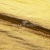 Текстильный материал "Диско"#1805 с покрытием РЕТ, 40гр/м2, 100% полиэстер, цв.5-золото - купить в Воткинске. Цена 412.36 руб.