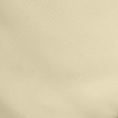 Ткань подкладочная Таффета 14-1014, антист., 53 гр/м2, шир.150см, цвет бежевый - купить в Воткинске. Цена 62.37 руб.