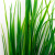 Трава искусственная -2, шт (осока 41см/8 см)				 - купить в Воткинске. Цена: 104.57 руб.