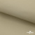Ткань подкладочная TWILL 230T 14-1108, беж светлый 100% полиэстер,66 г/м2, шир.150 cм - купить в Воткинске. Цена 90.59 руб.