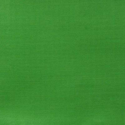Ткань подкладочная Таффета 17-6153, 48 гр/м2, шир.150см, цвет трава - купить в Воткинске. Цена 54.64 руб.