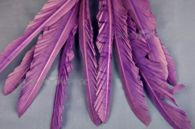 Декоративный Пучок из перьев, перо 25см/фиолетовый - купить в Воткинске. Цена: 12.19 руб.