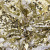 Трикотажное полотно, Сетка с пайетками, шир.130 см, #315, цв.-белый/золото - купить в Воткинске. Цена 693.39 руб.
