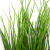 Трава искусственная -4, шт  (осока 50 см/8 см  7 листов)				 - купить в Воткинске. Цена: 130.73 руб.