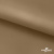 Ткань подкладочная Таффета 17-1327, антист., 54 гр/м2, шир.150см, цвет св.коричневый - купить в Воткинске. Цена 65.53 руб.